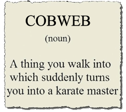 Cobweb definition